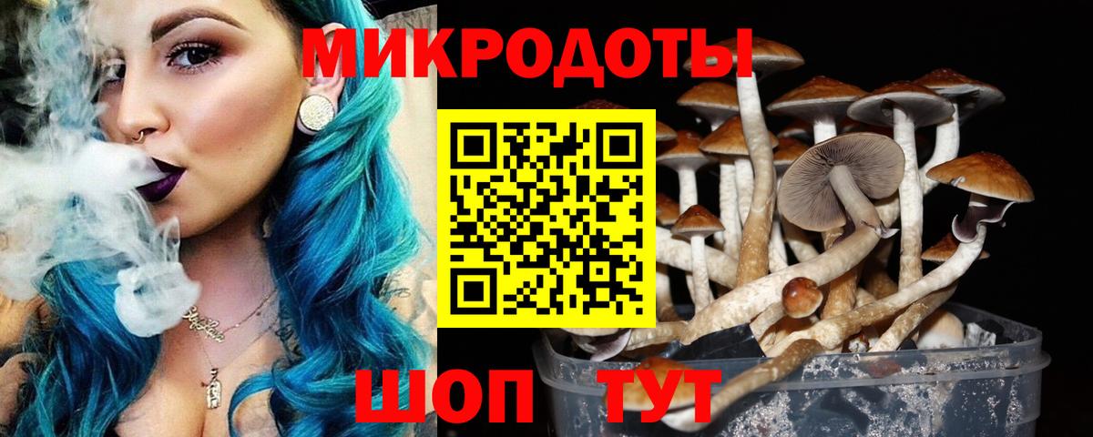 Галлюциногенные грибы Magic Shrooms Саров