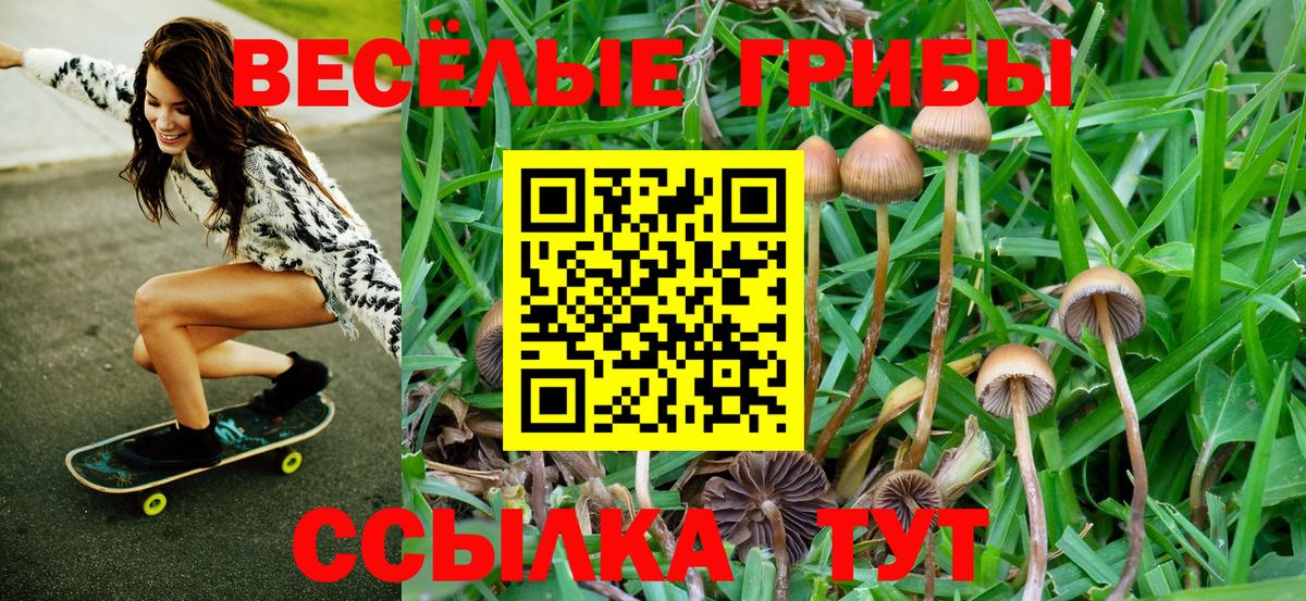 Канабис  Гашиш  Мефедрон   Лсд 25  Меф  Саров  Вход с VPN 